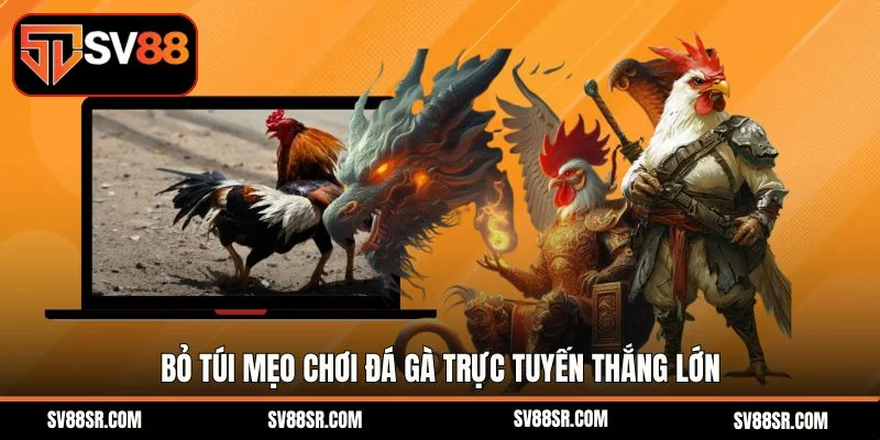 Bỏ túi mẹo chơi đá gà trực tuyến thắng lớn 