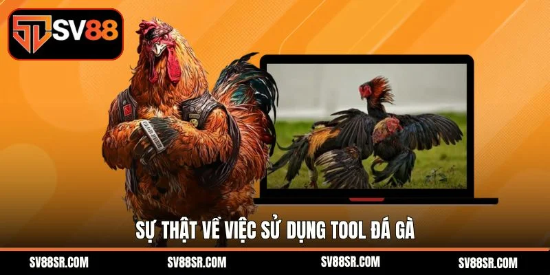 Sự thật về việc sử dụng tool đá gà 