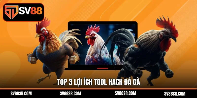 Top 3 lợi ích tool hack đá gà 